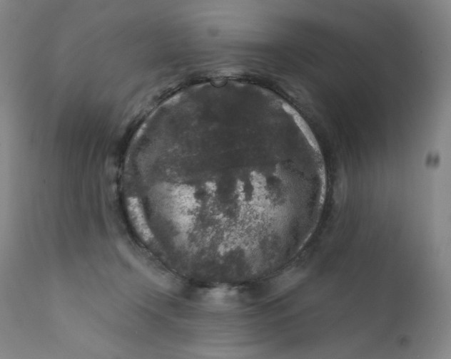 X0000112420366200909041418