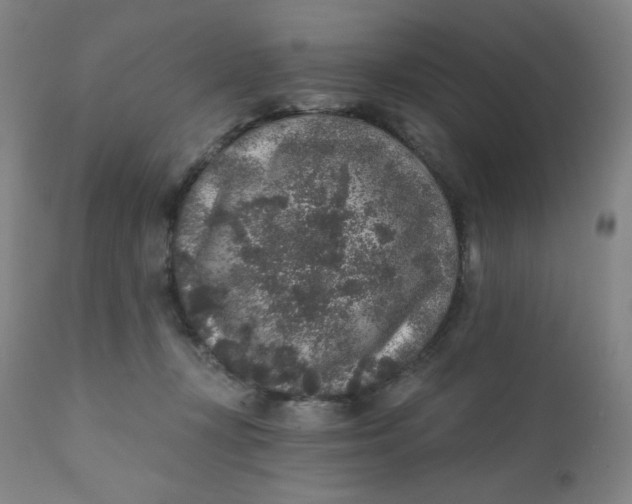 X0000112420367200909041418