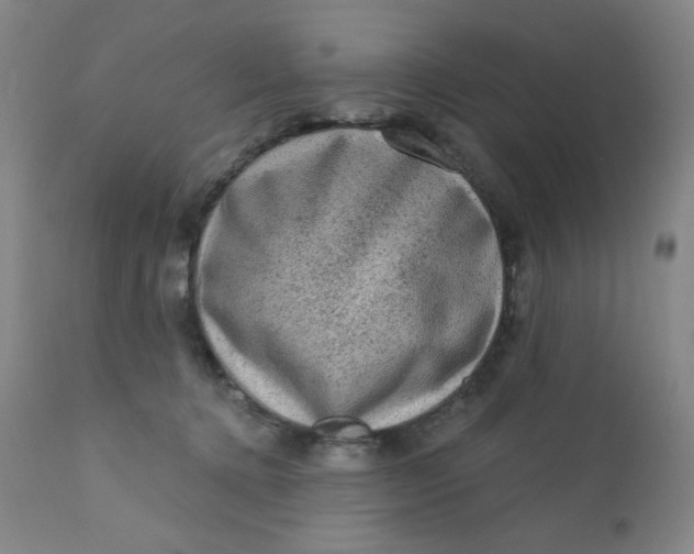 X0000112420368200909041418