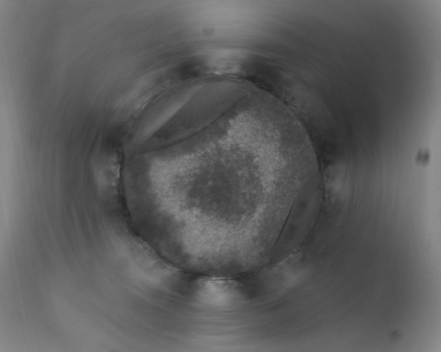 X0000112420372200909041418