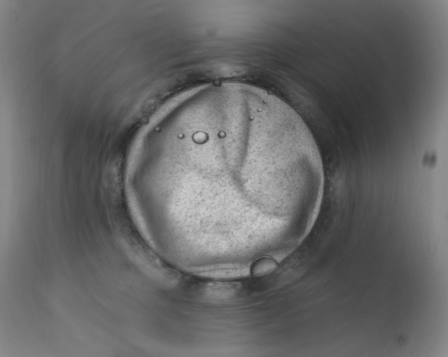 X0000112420373200909041418