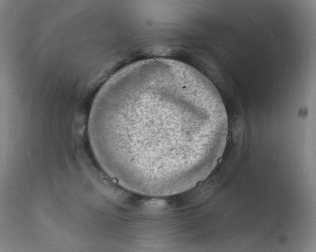 X0000112420374200909041418