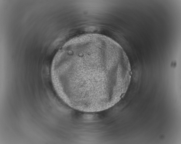 X0000112420375200909041418