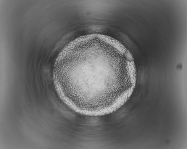 X0000112420377200909041418