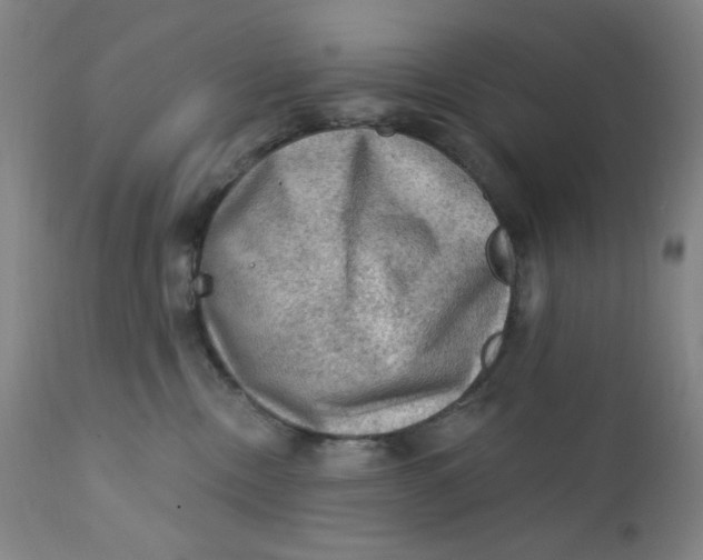 X0000112420378200909041418