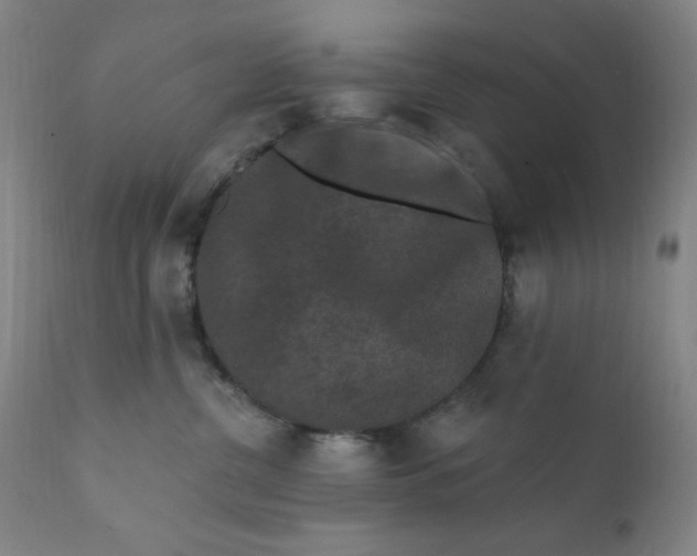 X0000112420380200909041418