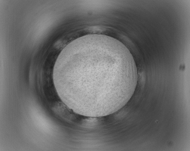 X0000112420381200909041418