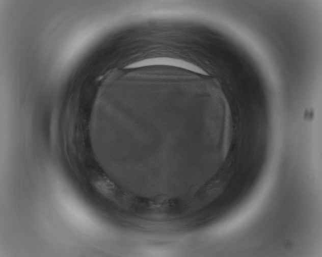 X0000112420382200909041418