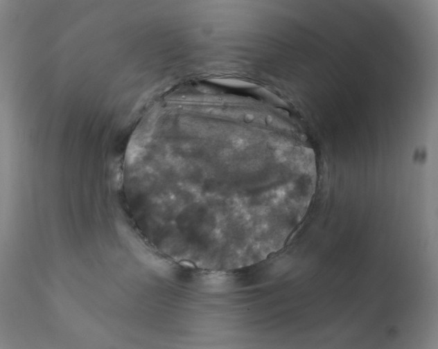 X0000112420383200909041418