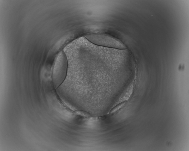 X0000112420384200909041418