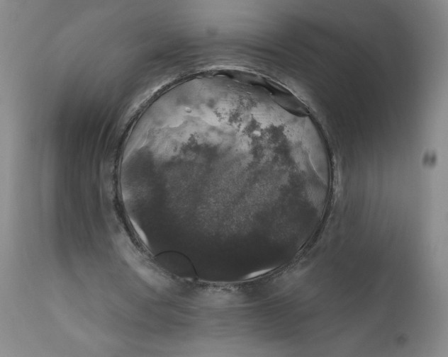 X0000112420386200909041417