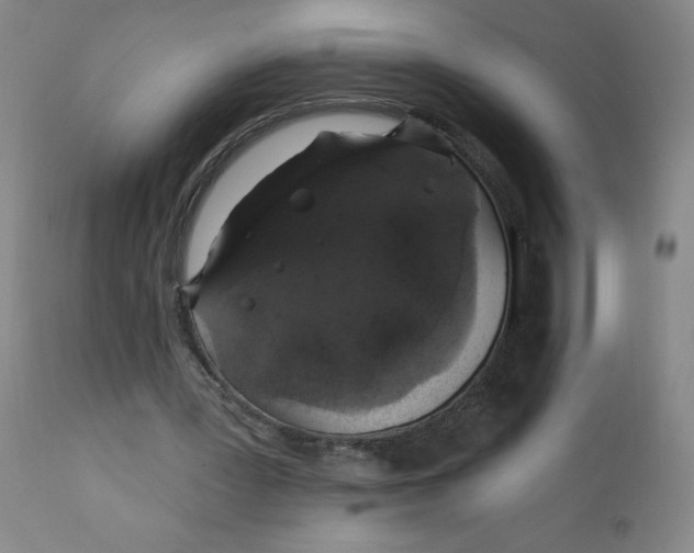 X0000112420387200909041417