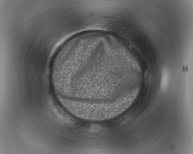 X0000112420388200909041417