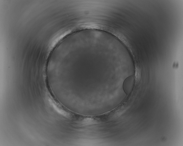 X0000112420390200909041417