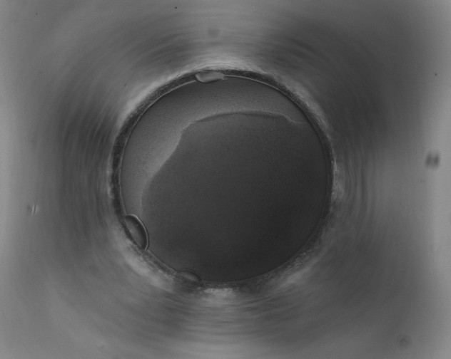 X0000112420391200909041417