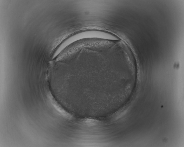 X0000112420393200909041417