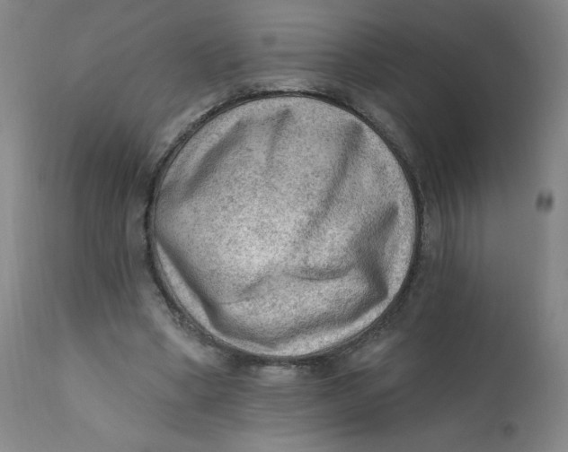 X0000112420394200909041417