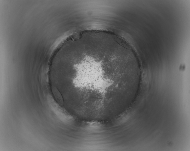 X0000112420395200909041417