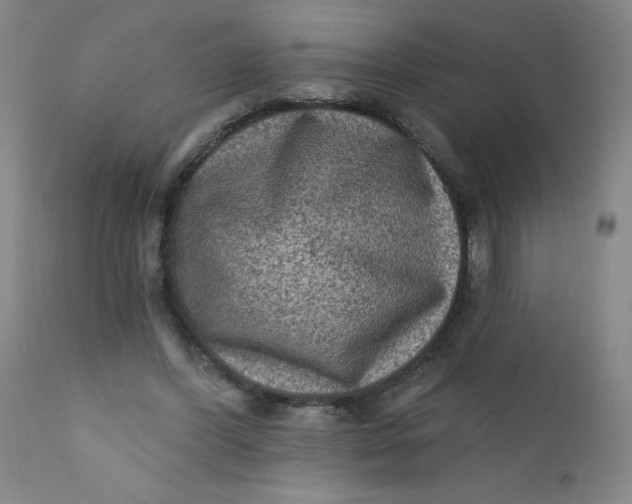 X0000112420396200909041417