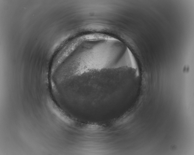 X0000112420399200909041417