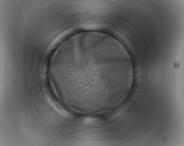 X0000112420400200909041417