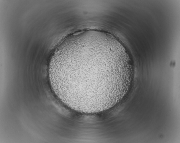 X0000112420401200909041417