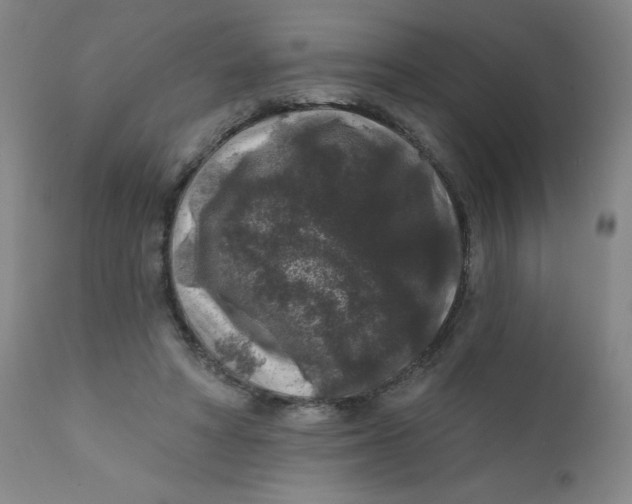 X0000112420402200909041417