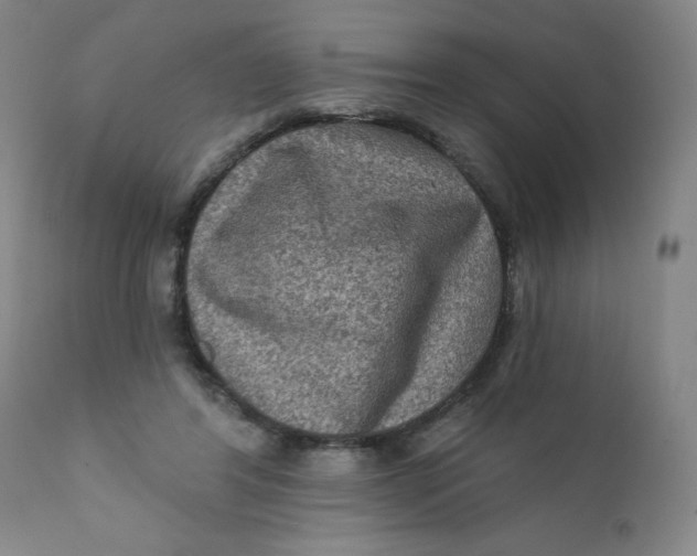 X0000112420404200909041417