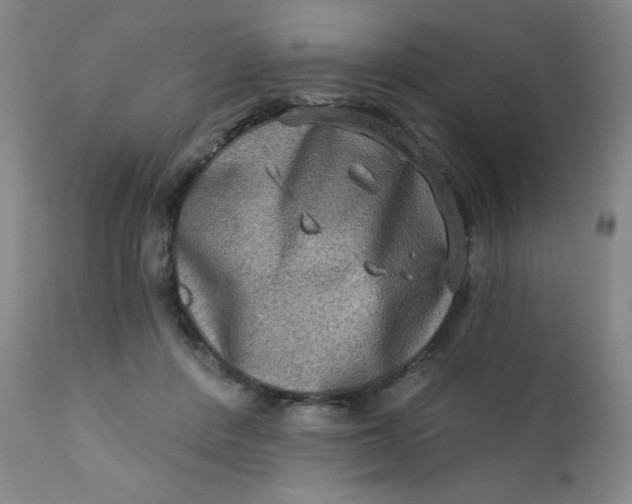 X0000112420408200909041417