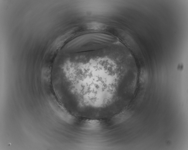 X0000112420409200909041417