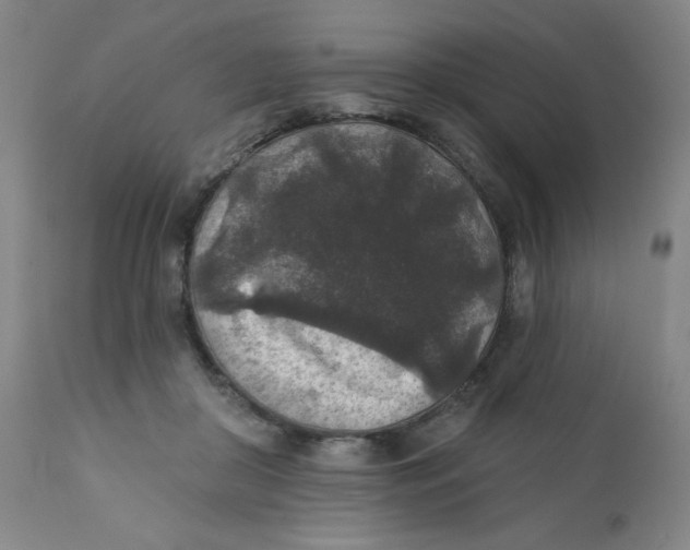 X0000112420410200909041417