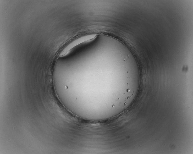 X0000112420411200909041417