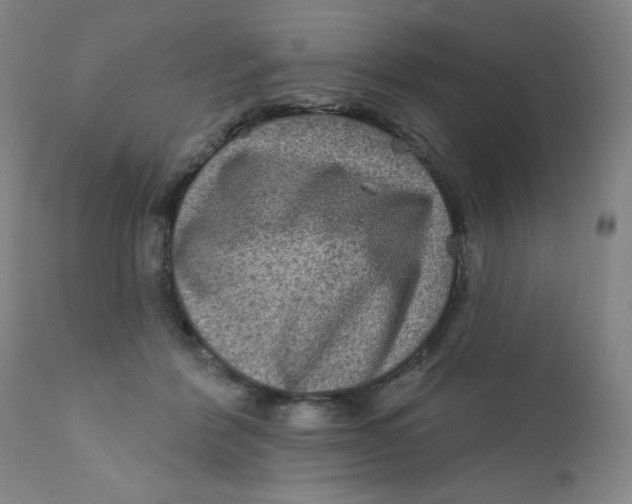 X0000112420412200909041417