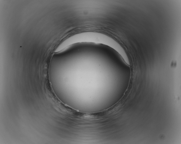 X0000112420413200909041417