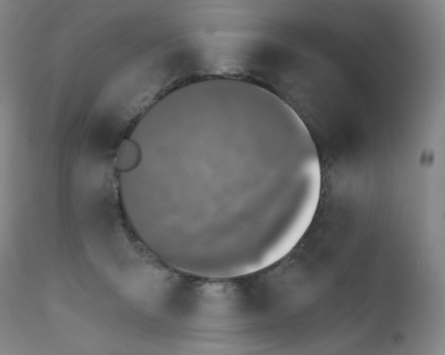 X0000112420415200909041417