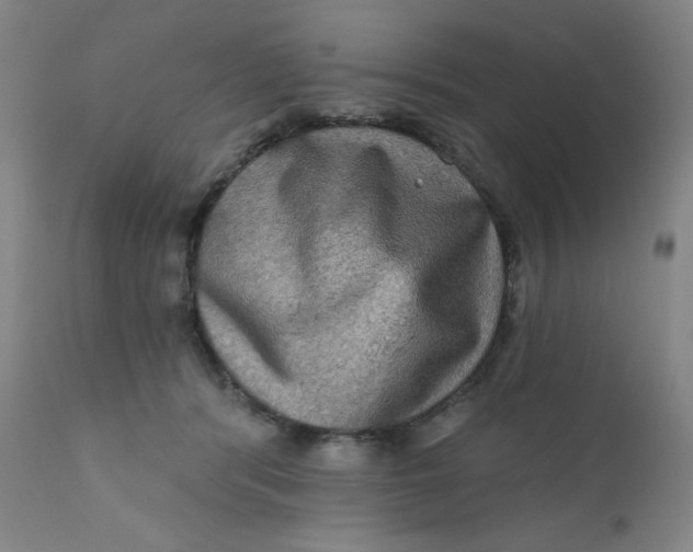 X0000112420416200909041417