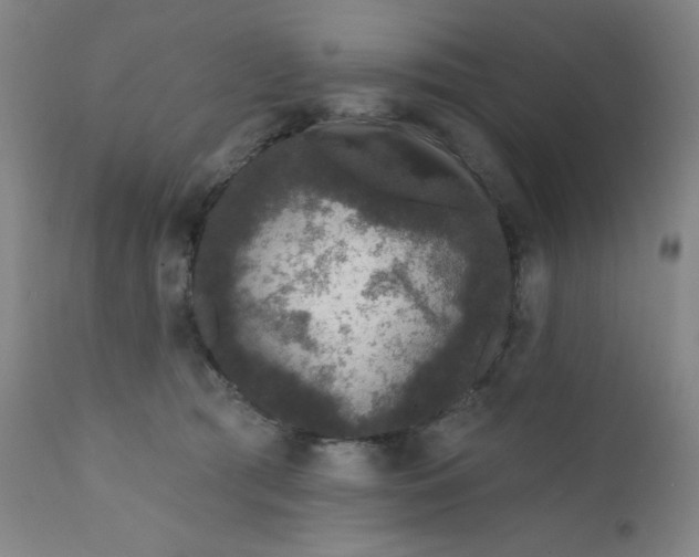 X0000112420417200909041417