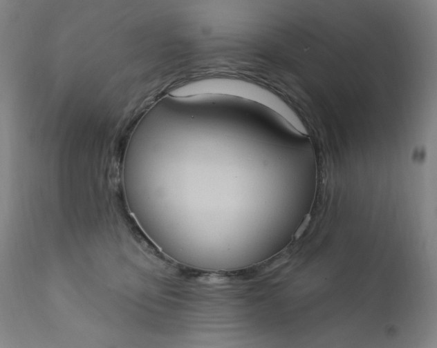 X0000112420419200909041417