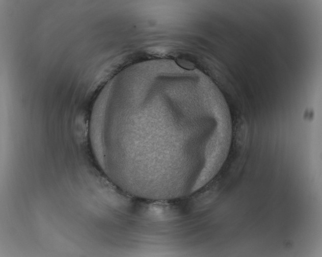 X0000112420420200909041417