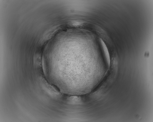 X0000112420421200909041417