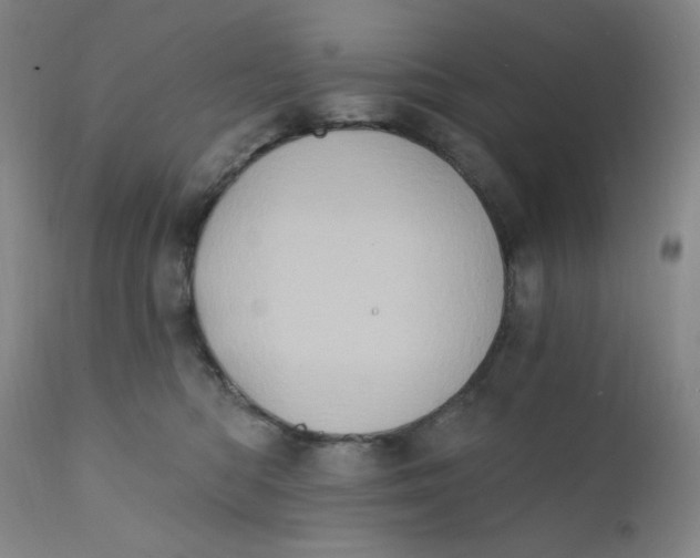 X0000112420422200909041417