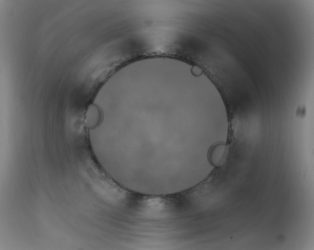 X0000112420423200909041417