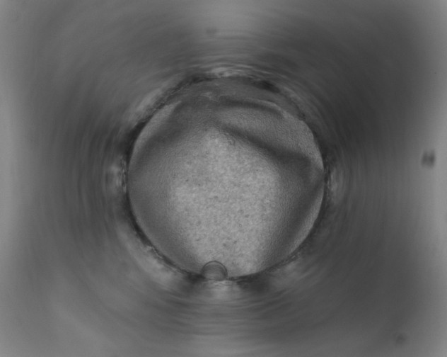 X0000112420424200909041417