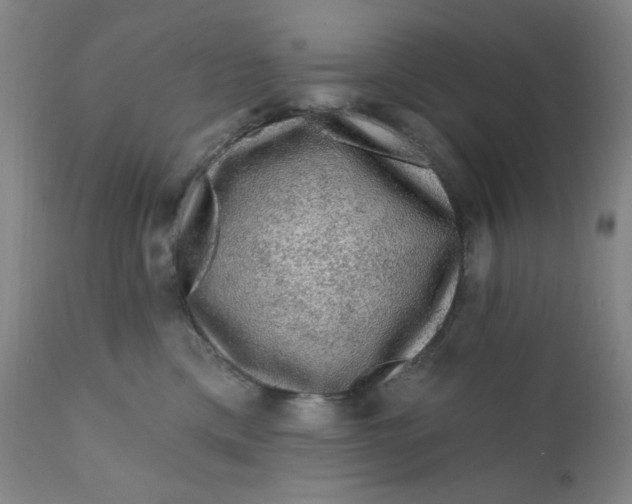 X0000112420425200909041417