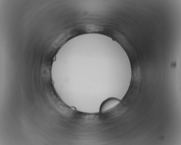 X0000112420426200909041416