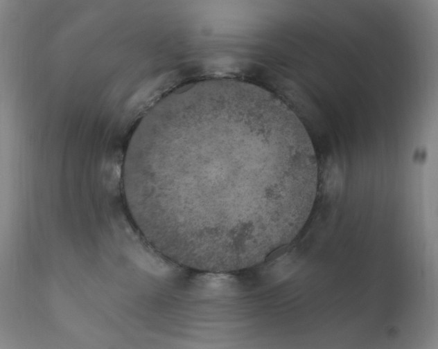 X0000112420427200909041416