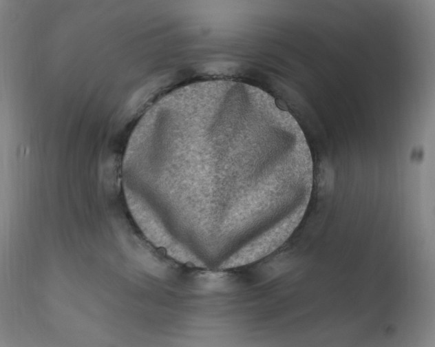 X0000112420428200909041416