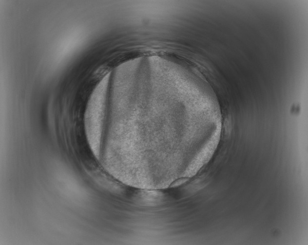 X0000112420429200909041416