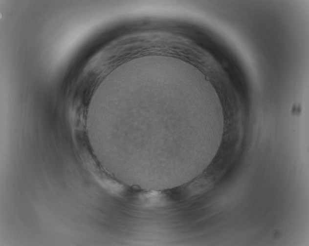 X0000112420431200909041416