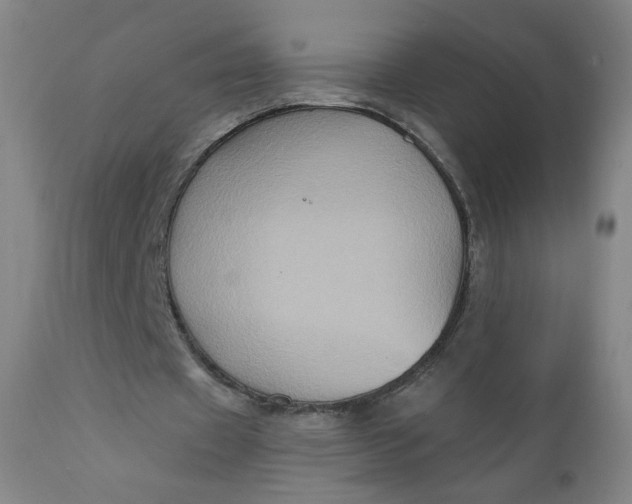 X0000112420433200909041416